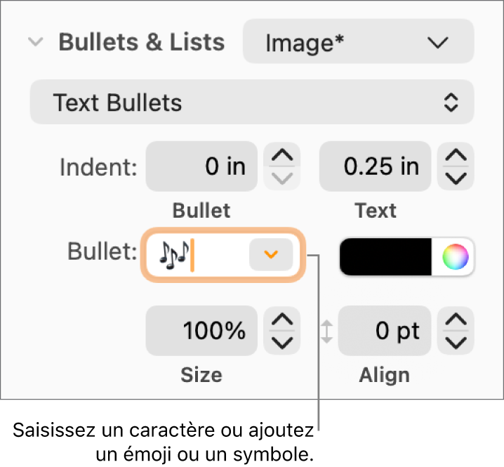 La section Puces et listes de la barre latérale Format. Le champ Puces affiche un émoji de fleur.