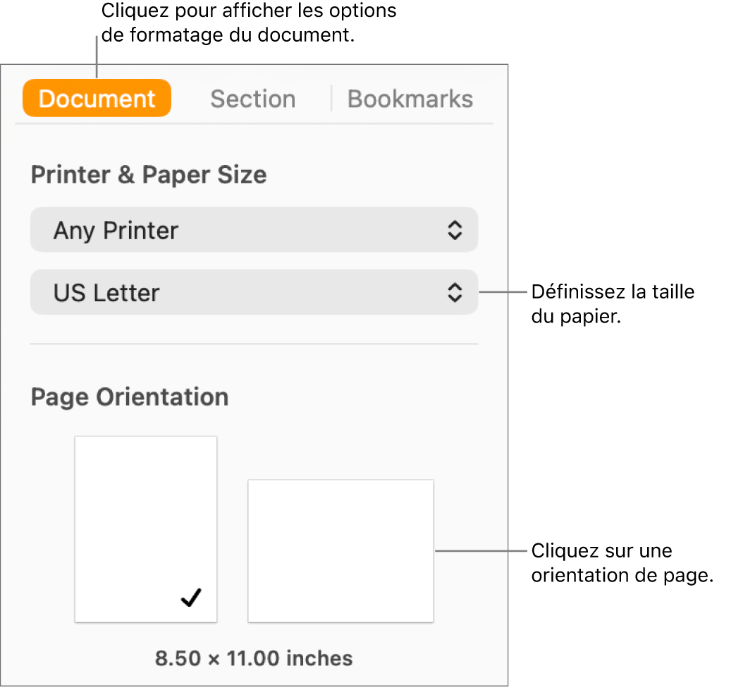 Barre latérale Document avec l’onglet Document en haut de la barre latérale sélectionnée. Dans la barre latérale se trouvent un menu contextuel permettant de définir la taille du papier et des boutons pour l’orientation des pages portrait et paysage.