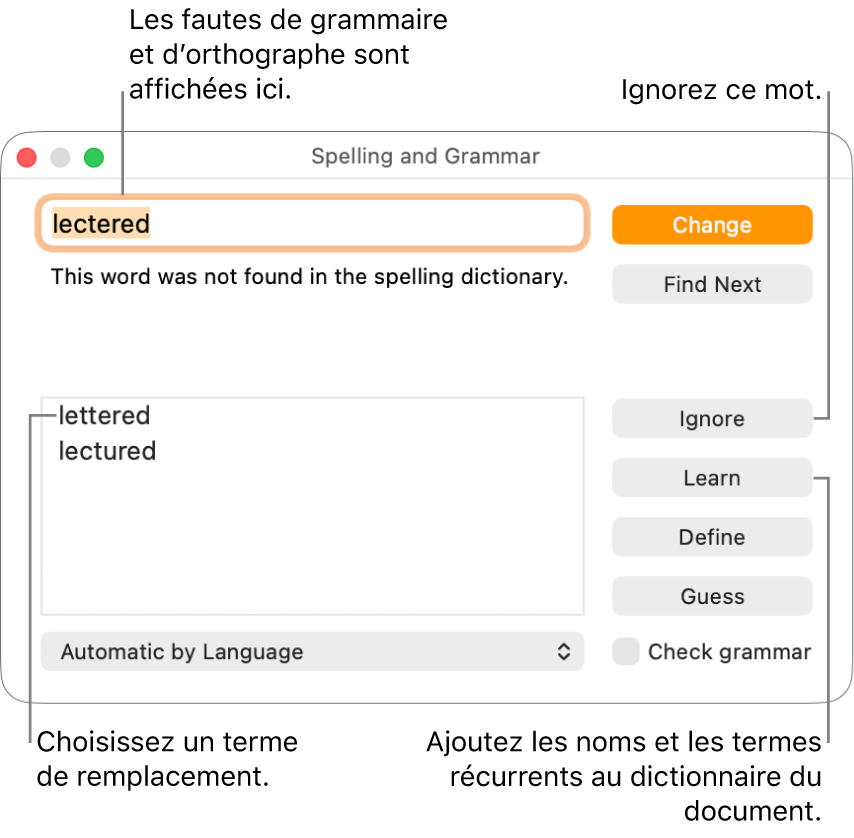 La fenêtre Orthographe et grammaire.