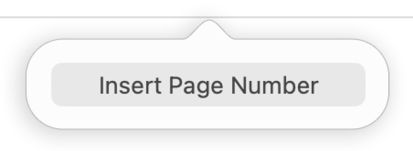 Le bouton Insérer no de page sous l’en-tête.