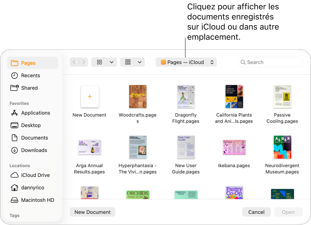 La boîte de dialogue Ouvrir avec la barre latérale s’ouvre à gauche et le lecteur iCloud Drive sélectionné apparaît dans le menu contextuel en haut de l’écran. Le dossier Pages s’affiche dans la zone de dialogue avec un bouton Nouveau document.