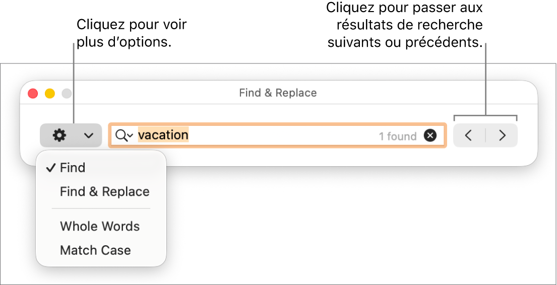 La fenêtre Rechercher et remplacer avec le menu contextuel qui affiche les options Rechercher, Rechercher et remplacer, Mots entiers et Respecter la casse. Les flèches situées à droite vous permettent d’accéder directement aux résultats de recherche précédents ou suivants.