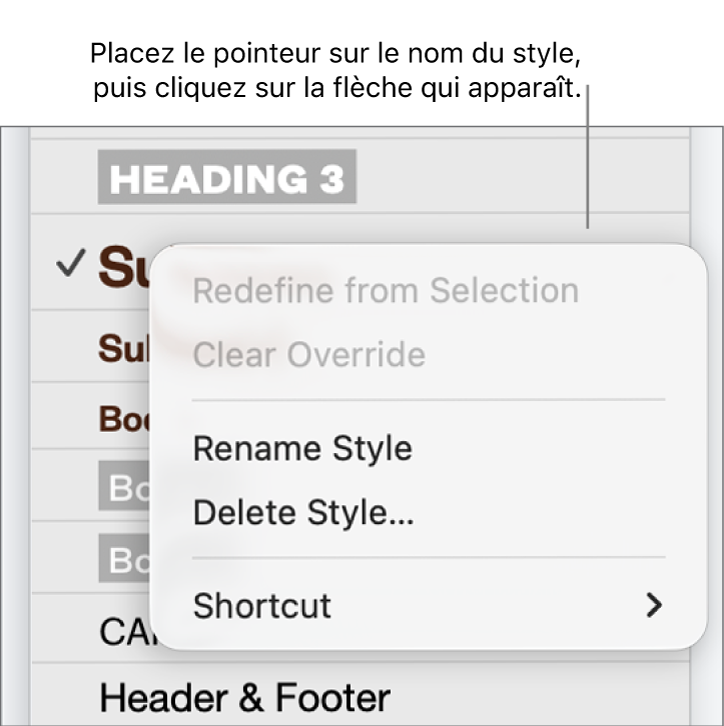 Le menu Styles de paragraphe avec le menu contextuel ouvert.