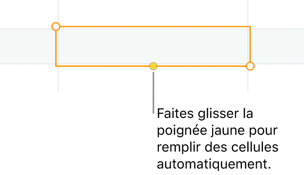 Une cellule sélectionnée avec une poignée jaune à faire glisser pour remplir automatiquement des cellules.