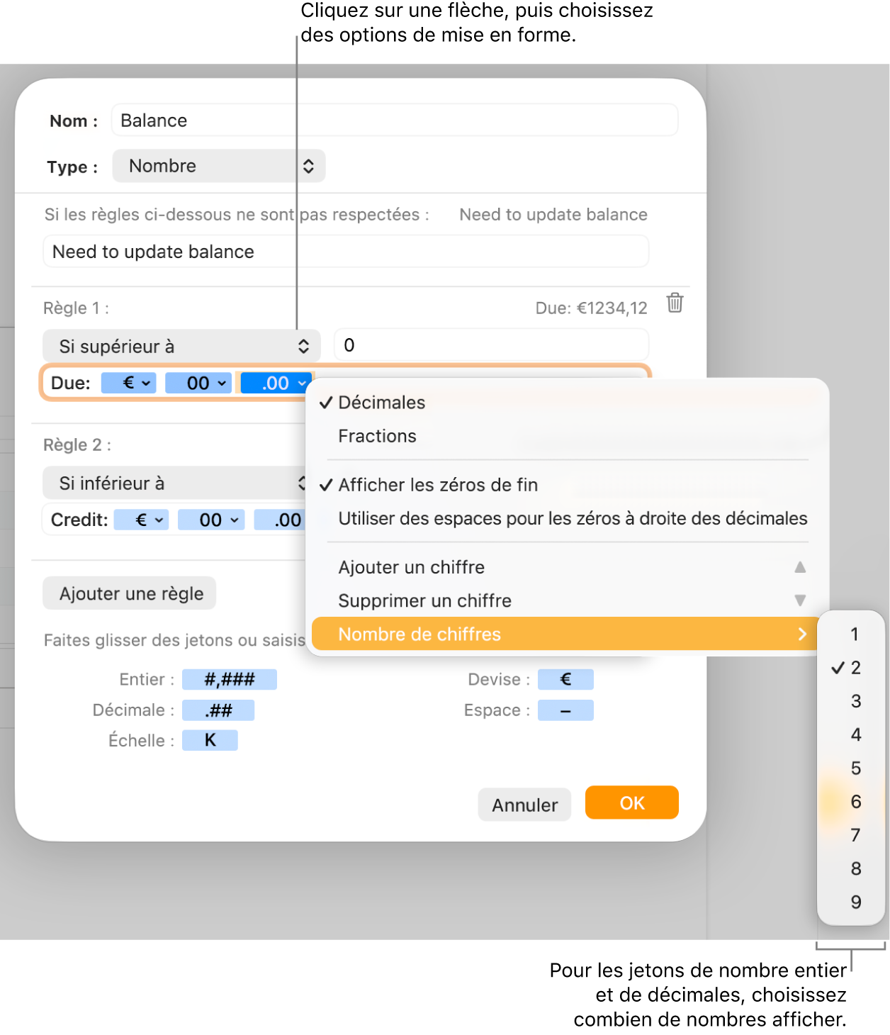 La fenêtre de format de cellule personnalisé présentant les commandes permettant de choisir des options de mise en forme personnalisée.