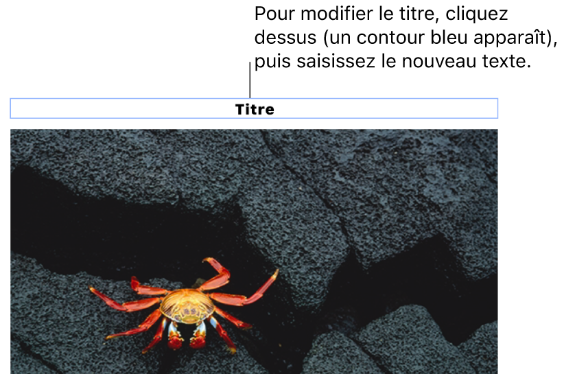 Le paramètre fictif de titre, « Titre », est affiché sous une photo. Un contour bleu autour du champ du titre indique qu’il est sélectionné.