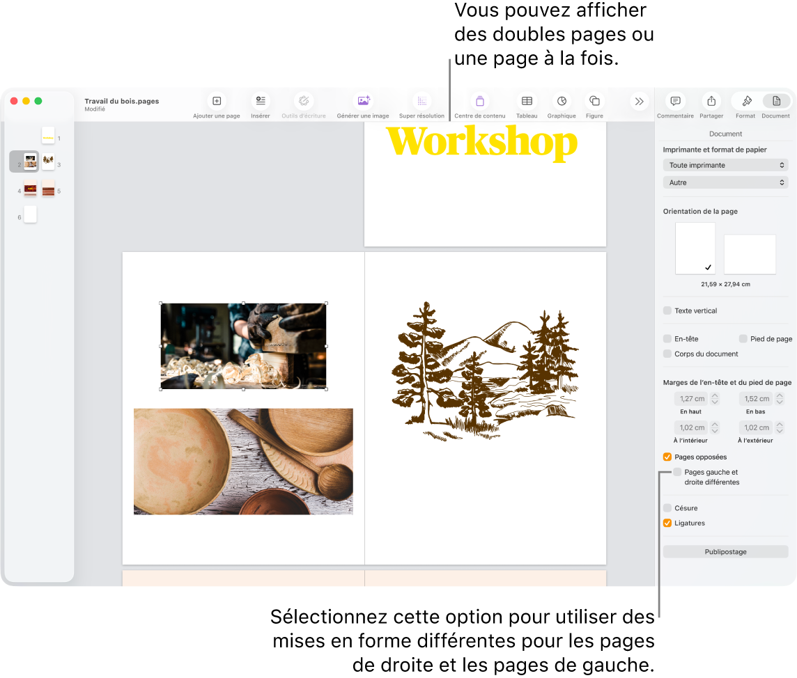 La fenêtre Pages avec les vignettes de page et les pages du document présentées sous forme de doubles pages. Dans la barre latérale Document sur la droite, la case « Pages gauche et droite différentes » est décochée.