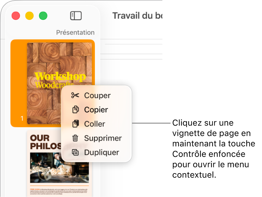 Présentation Vignettes de page avec une vignette sélectionnée et le menu contextuel ouvert.