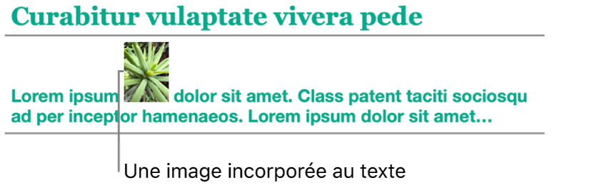 Image incorporée au texte.