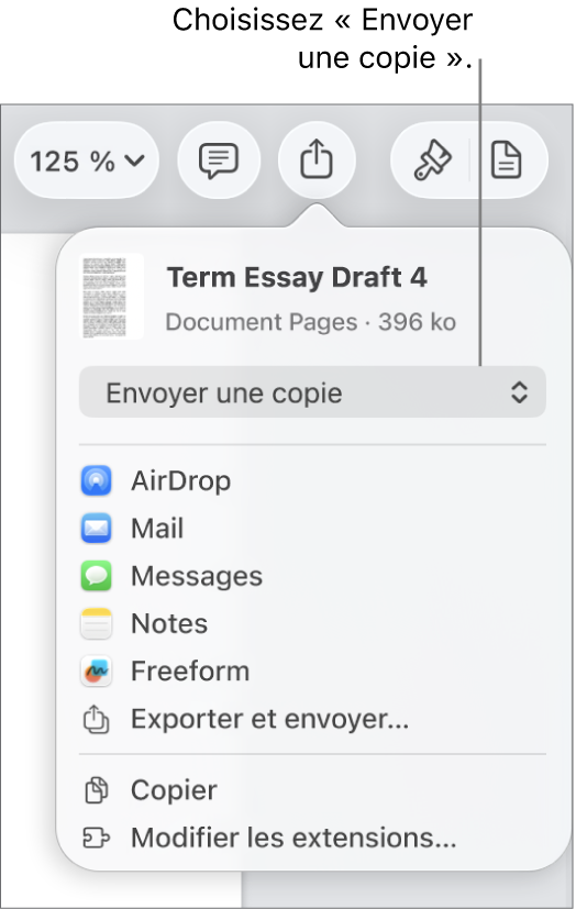Le menu Partager avec l’option Envoyer une copie sélectionnée en haut.