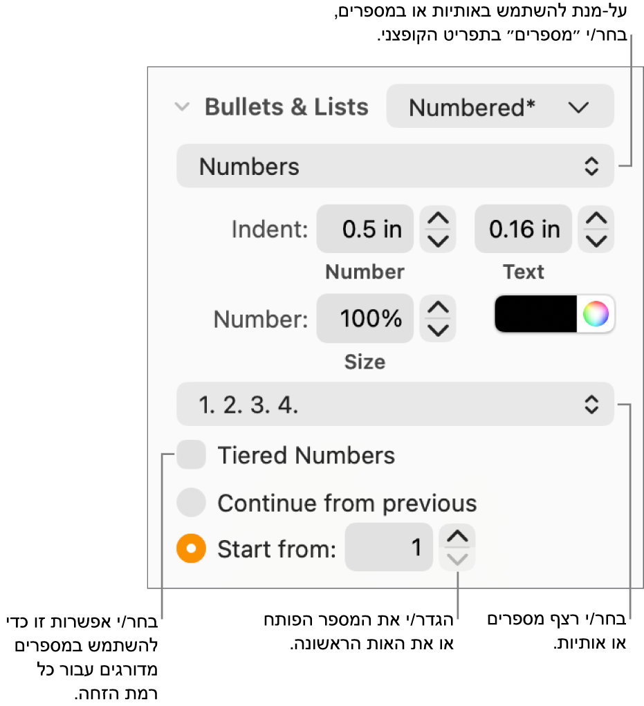 כלי בקרה לשינוי סגנון המספרים והמרווחים ברשימה.