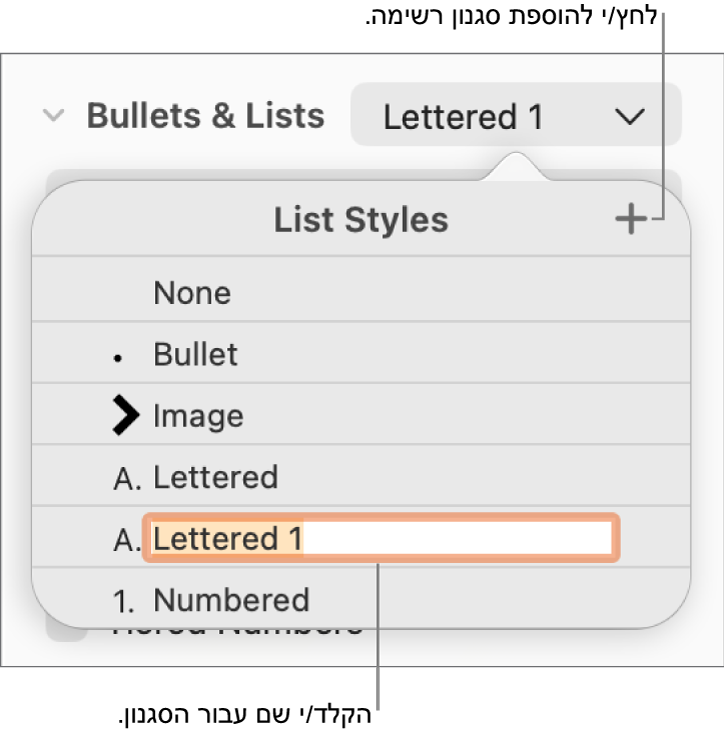 התפריט הקופצני ״סגנונות רשימה״ עם כפתור ״הוסף״ בפינה הימנית העליונה ושם של סגנון מציין מיקום כאשר המלל שלו נבחר.