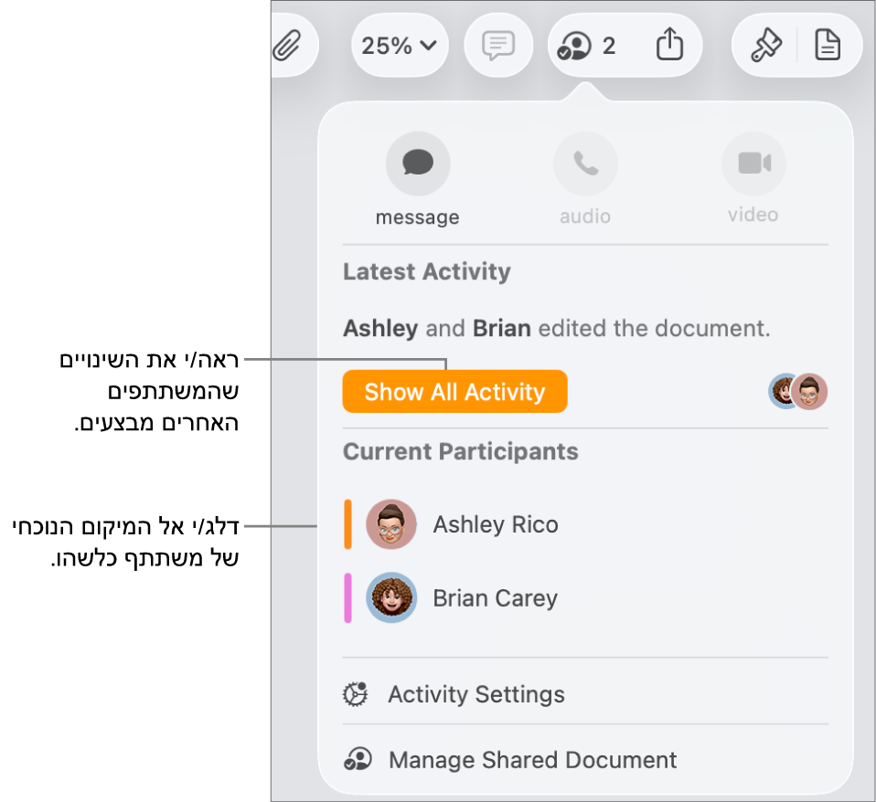 תפריט ״שיתוף פעולה״ שרואים בו שני משתתפים פעילים כעת.