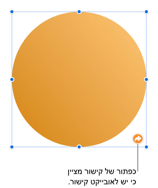 כפתור של קישור בצורה.