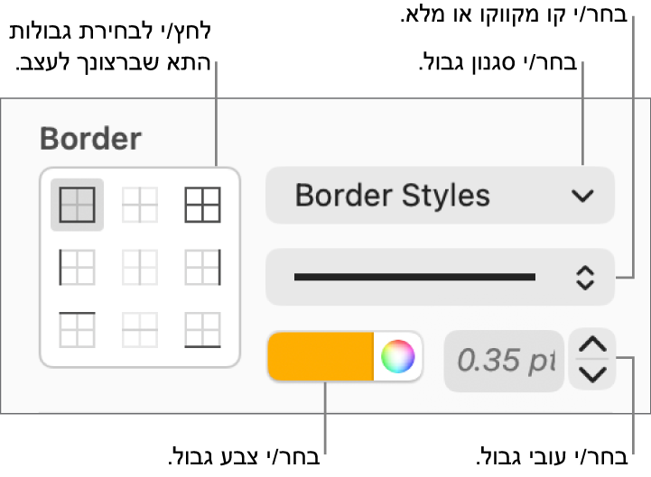 כלי בקרה להגדרת סגנון עבור גבולות תאים.
