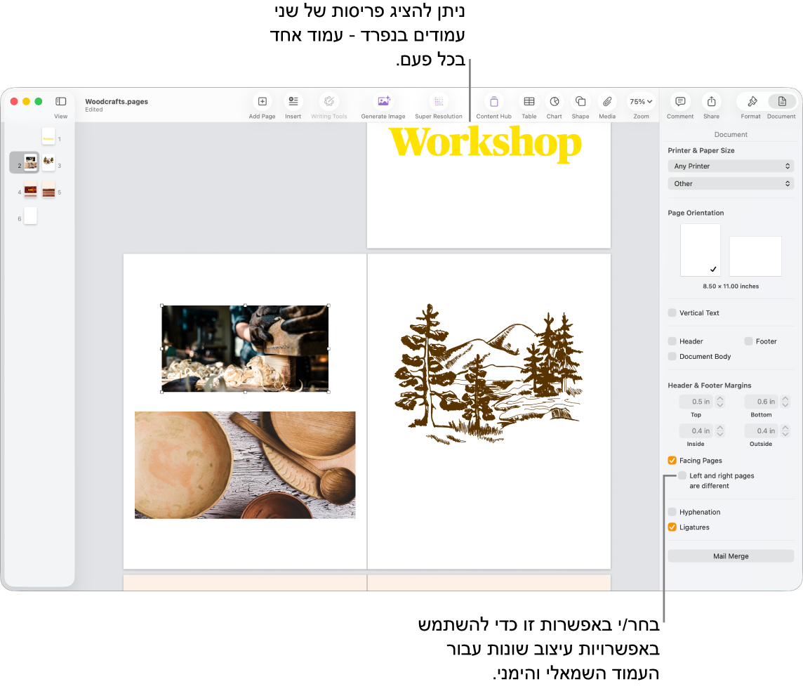 החלון של Pages עם תמונות ממוזערות של עמודים ועמודי מסמך שמוצגים בפריסה של שני עמודים. בסרגל הצד ״מסמך״ בצד שמאל, תיבת הסימון ״עמודים ימין ושמאל שונים״ לא מסומנת.