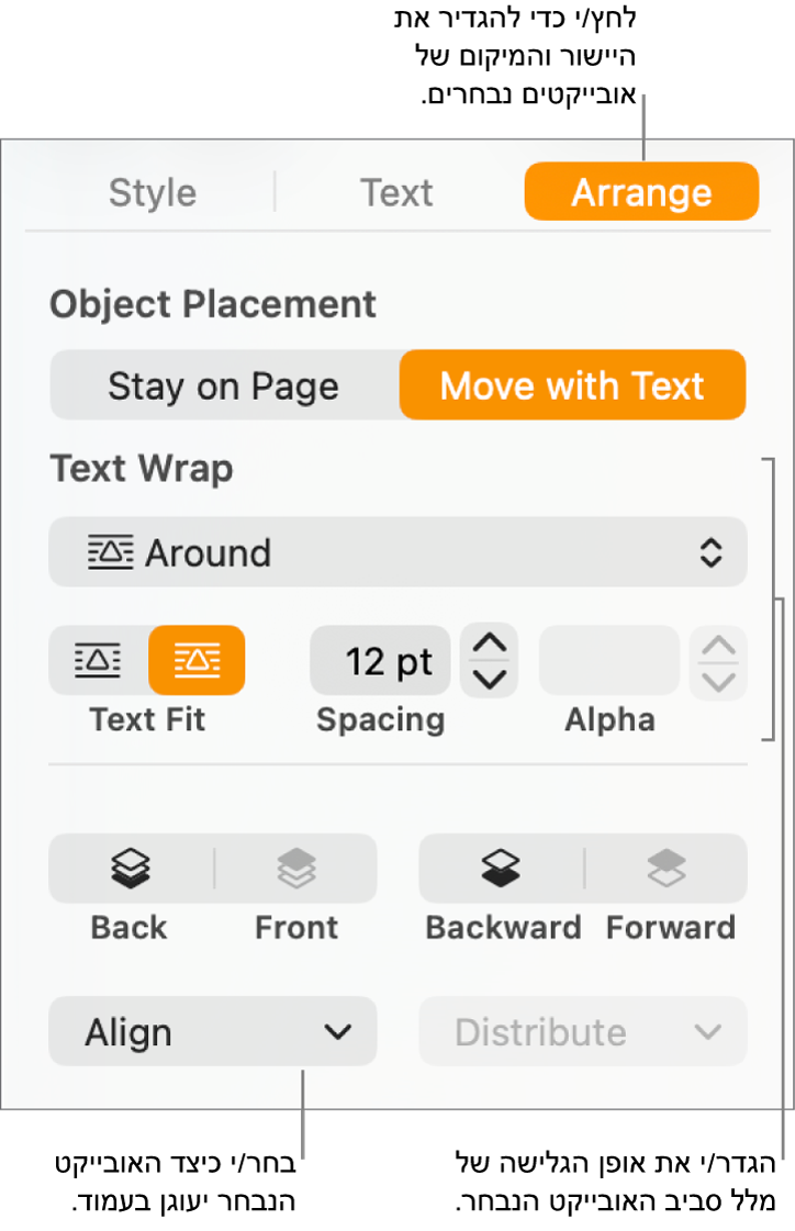 תפריט ״עיצוב״ עם סרגל הצד ״ארגן״ מוצג. ההגדרות של ״מיקום אובייקט״ מוצגות בראש סרגל הצד ״ארגן״ וההגדרות של ״גלישת מלל״ מתחת.