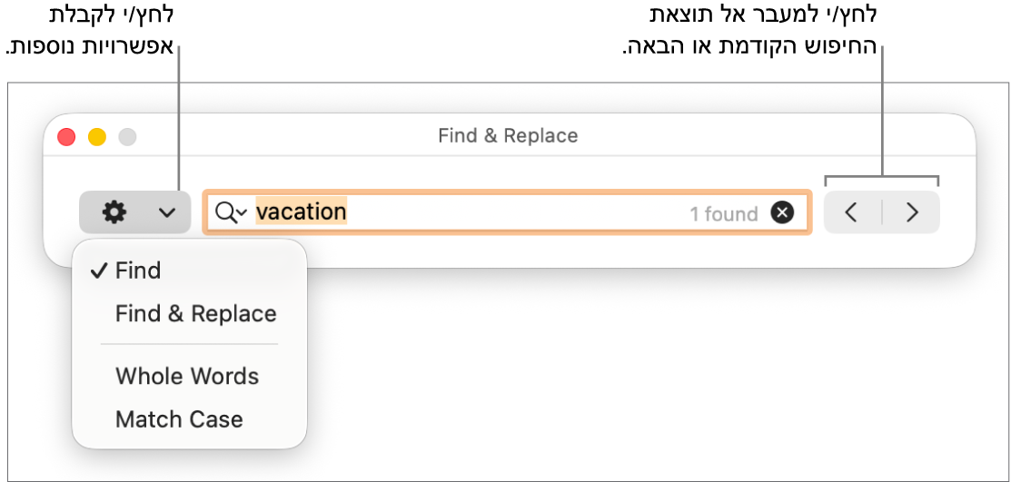 החלון ״חפש והחלף״ עם התפריט הקופצני שמציג את האפשרויות ״חפש״, ״חפש והחלף״, ״מילים שלמות״ ו״התאם אותיות גדולות״. החיצים בצד מאפשרים לך לדלג אל תוצאות החיפוש הקודמות או הבאות.