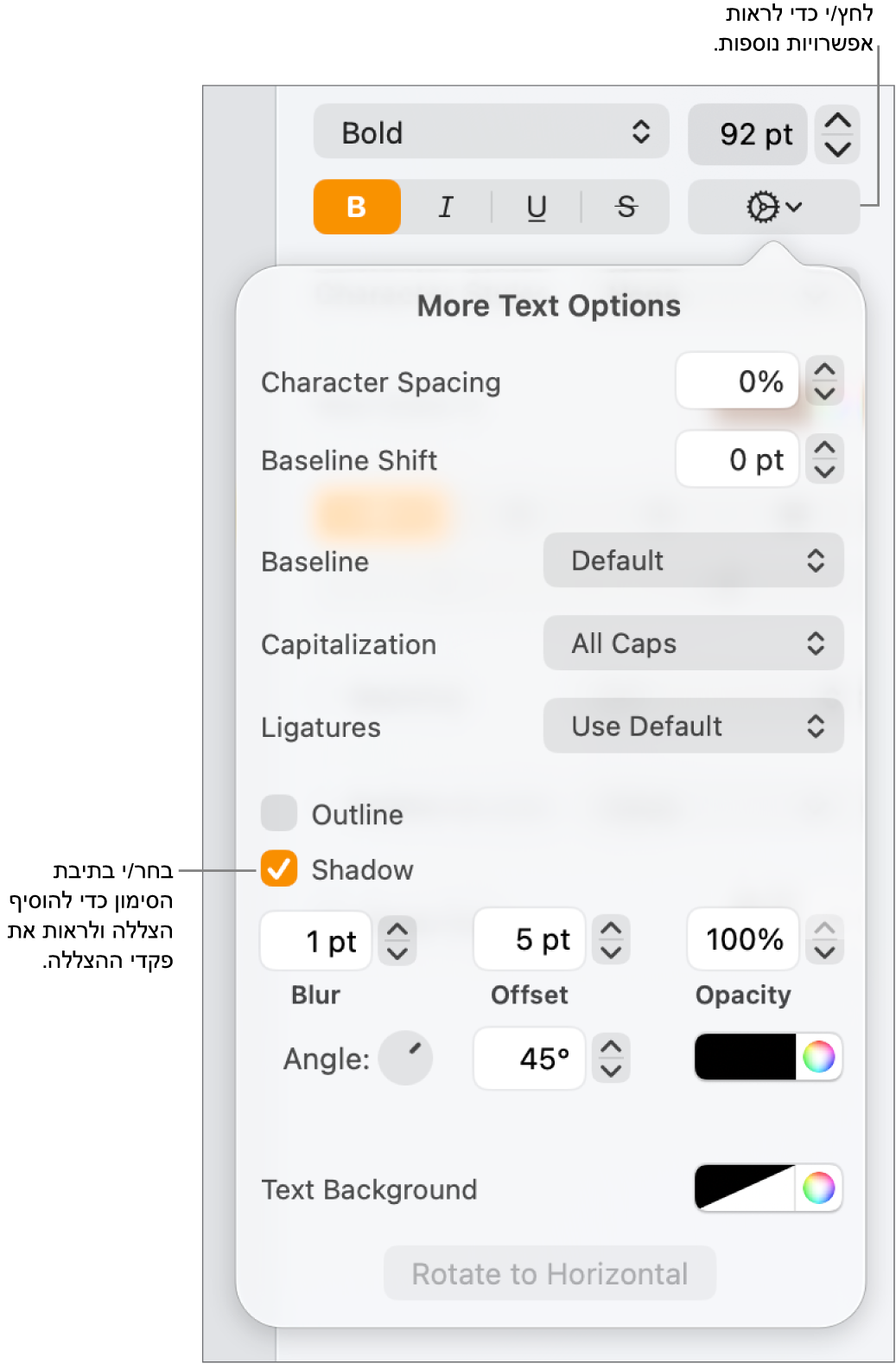 התפריט ״אפשרויות מתקדמות״ פתוח, כאשר תיבת הסימון ״צללים״ נבחרת ומוצגים כלי בקרה להגדרת טשטוש, היסט, אטימות, זווית וצבע.