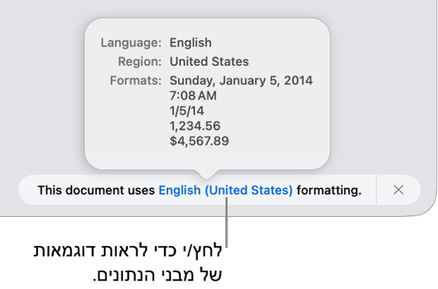 ההודעה לגבי הגדרת השפה והעיצוב השונים, עם דוגמאות של העיצוב בשפה זו ובאזור זה.