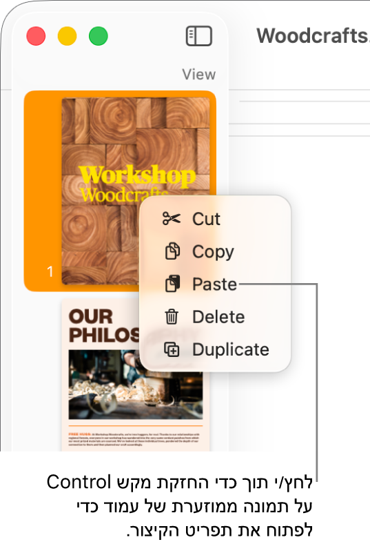 התצוגה ״תמונות ממוזערות של עמודים״ עם תמונה ממוזערת אחת נבחרת ותפריט הקיצור פתוח.