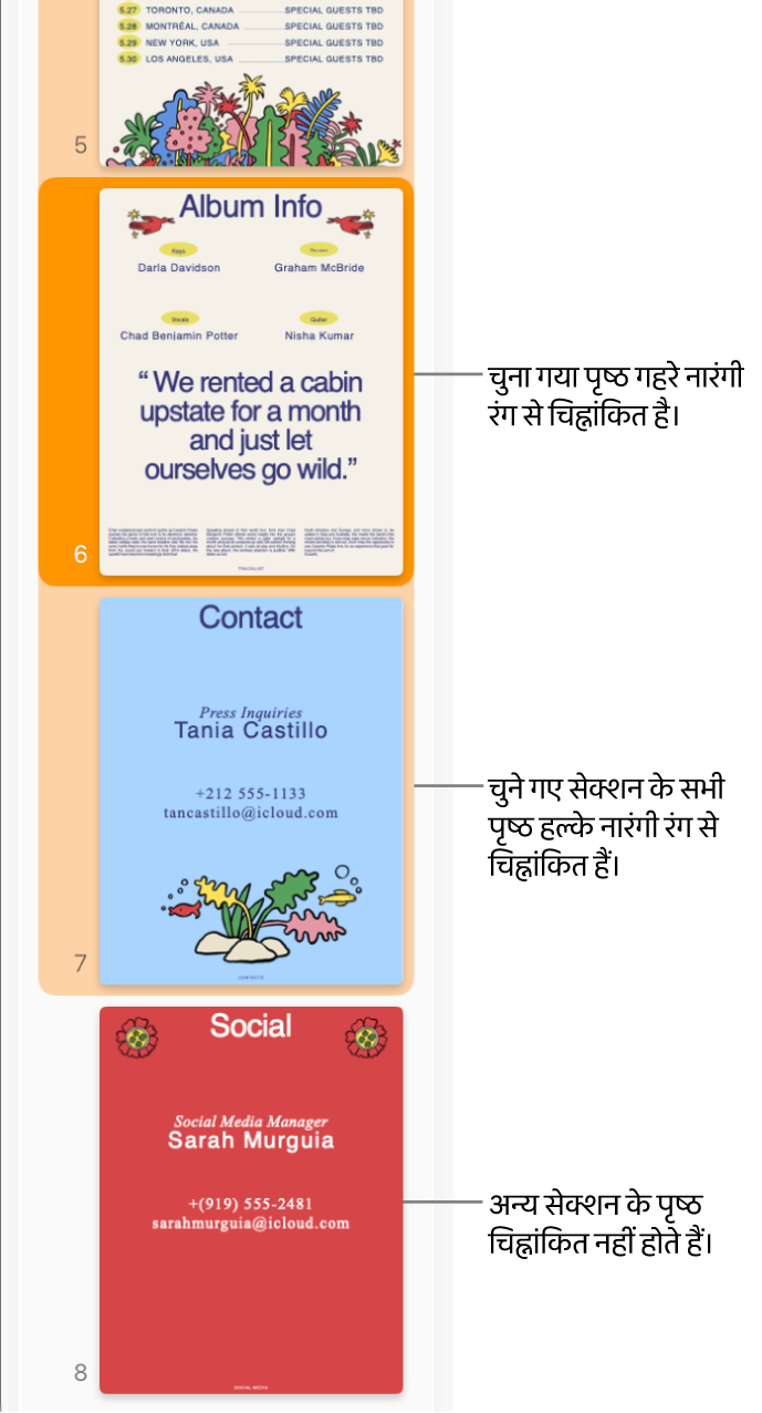 गहरे नारंगी रंग से चिह्नांकित चुना गया पृष्ठ और हल्के नारंगी रंग से चिह्नांकित चुने गए सेक्शन के सभी पृष्ठों के साथ थंबनेल दृश्य साइडबार।
