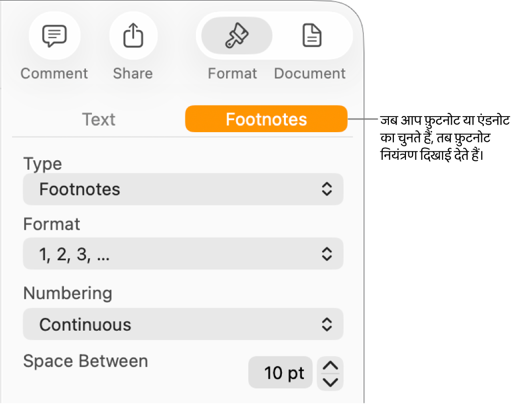 प्रकार, फ़ॉर्मैट, संख्यांकन और नोट्स के बीच की जगह के लिए पॉपअप मेनू दिखाती “फ़ुटनोट” पैन।