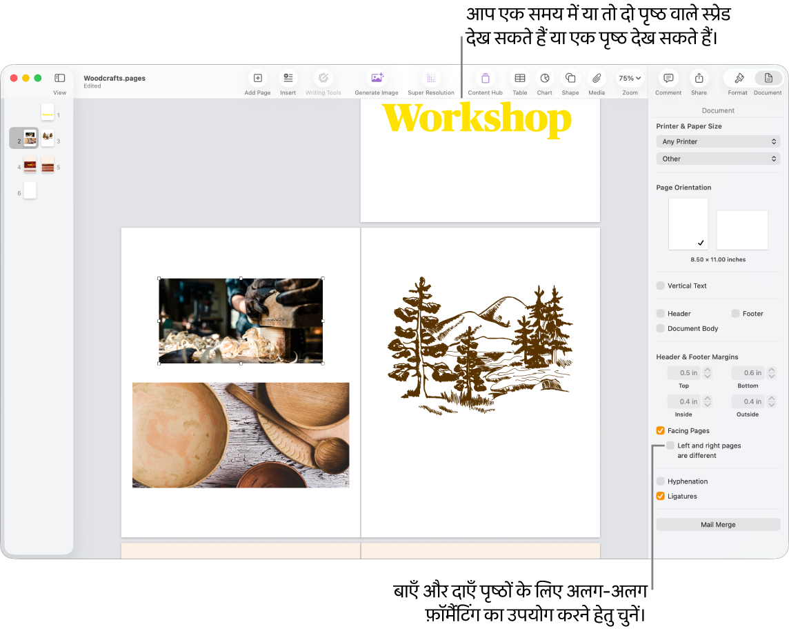 Pages विंडो जिसमें पृष्ठ थंबनेल और दो पृष्ठों में फैले हुए पृष्ठ दिखाई दे रहे हैं। दाईं ओर दस्तावेज़ साइडबार में, “बाएँ और दाएँ पृष्ठ अलग होते हैं” चेकबॉक्स अचयनित है।
