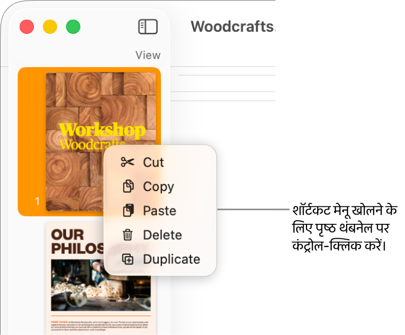 एक चुने गए थंबनेल और खुले शॉर्टकट मेनू के साथ पृष्ठ थंबनेल दृश्य।