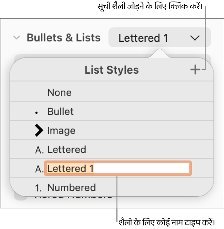 शीर्ष-दाएँ कोने में “जोड़ें” बटन के साथ “सूची शैली” मेनू और अपने चुने गए टेक्स्ट के साथ एक प्लेसहोल्डर शैली नाम।