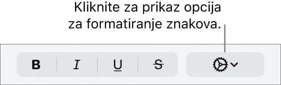 Skočni izbornik Više opcija teksta s desne strane tipku za podebljanje, kurziv, podcrtavanje i precrtavanje.