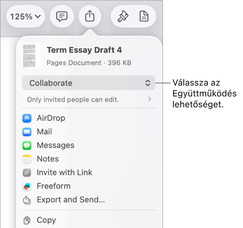 A Megosztás menü a felül kijelölt Együttműködés lehetőséggel, és az alatt látható hozzáférési és jogosultsági beállításokkal.