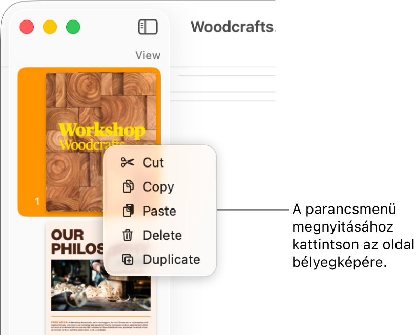 Oldalbélyegképek nézete egy kijelölt bélyegképpel és a megnyitott helyi menüvel.