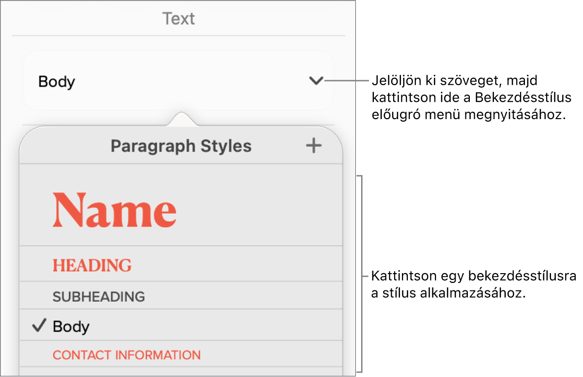 A Bekezdésstílusok menü.