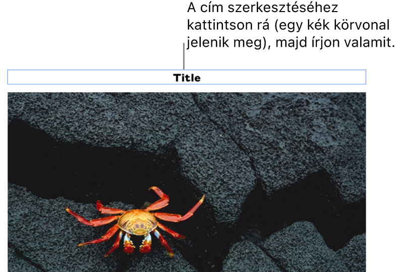 A helyőrző cím „Cím” egy fotó alatt látható, míg a cím mező körül látható kék körvonal azt jelzi, hogy a mező ki van jelölve.