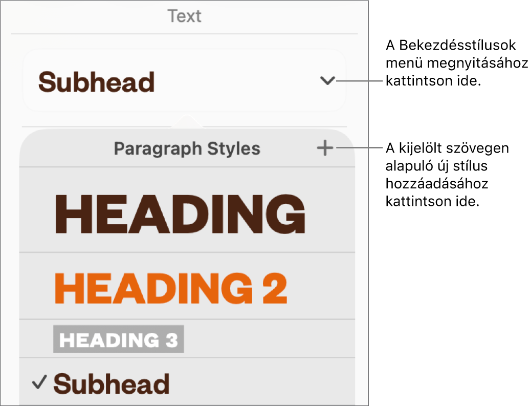 A Bekezdésstílusok menü a stílusok hozzáadására vagy módosítására szolgáló vezérlőkkel.