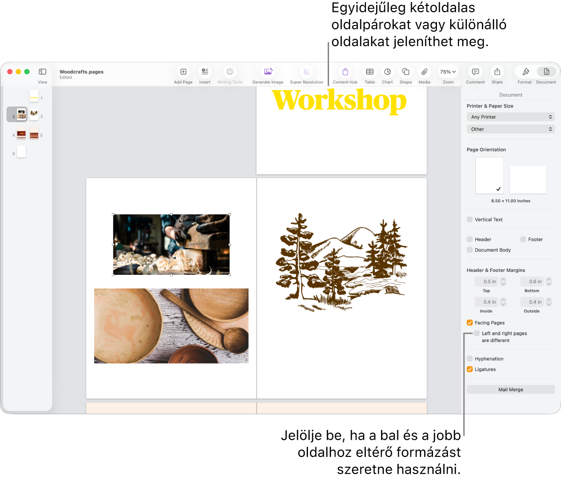 A Pages ablaka, amelyben az oldalbélyegképek és a dokumentumoldalak oldalpárokként jelennek meg. A jobb oldalon található Dokumentum oldalsávon a „Bal és jobb oldalak eltérők” jelölőnégyzet nincs bejelölve.
