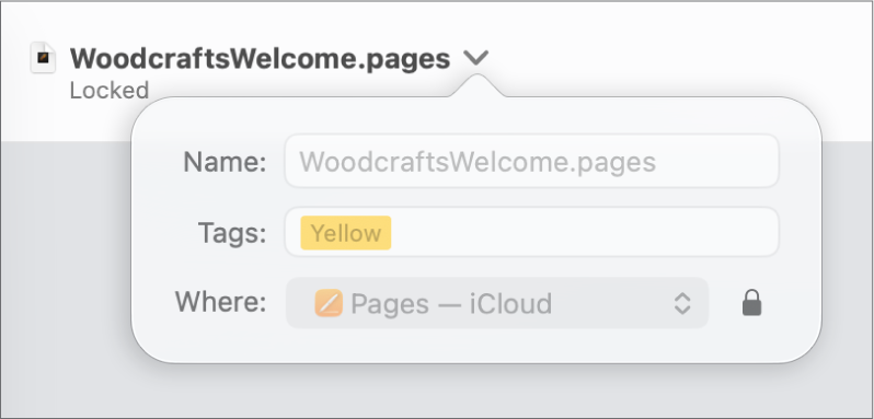 Dokumentum zárolására vagy a zárolás feloldására szolgáló előugró menü.