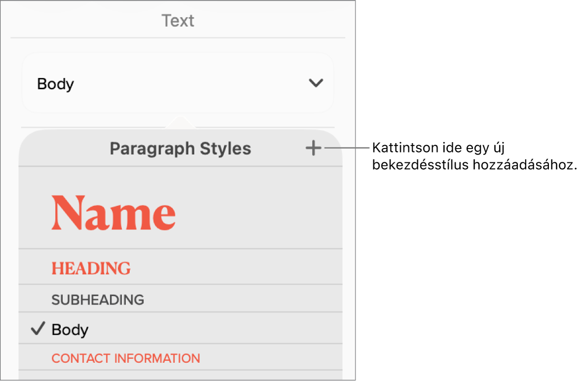 A Bekezdésstílusok menü az Új stílus gombot jelölő felirattal.