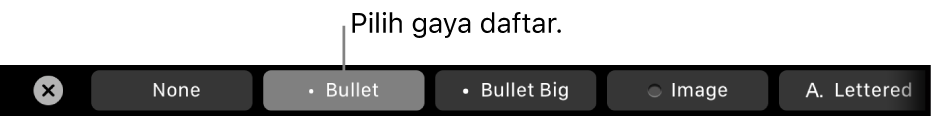 Touch Bar MacBook Pro dengan kontrol untuk memilih gaya daftar.