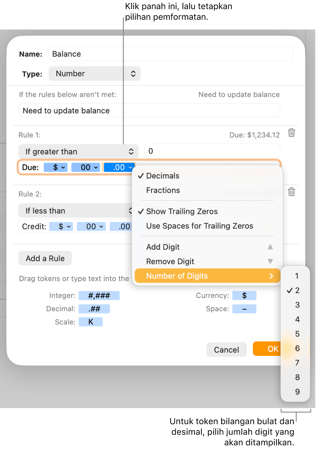 Jendela format sel khusus dengan kontrol untuk memilih pilihan pemformatan khusus.