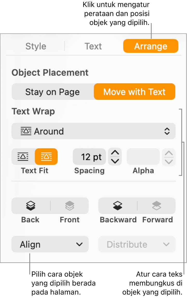 Menu Format dengan bar samping Atur ditampilkan. Pengaturan Penempatan Objek ada di bagian atas bar samping Atur, dengan pengaturan Pembungkusan Teks di bawah.
