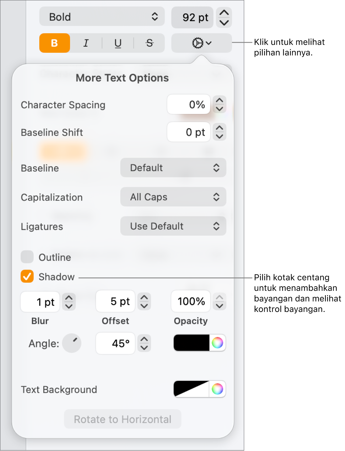 Menu Pilihan Lanjutan terbuka dan menampilkan kotak centang Bayangan yang dipilih dan kontrol untuk mengatur kekaburan, offset, opasitas, sudut, dan warna.