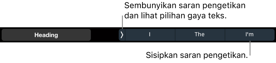 Touch Bar MacBook Pro dengan kontrol untuk memilih gaya teks, menyembunyikan saran pengetikan, dan menyisipkan saran pengetikan.