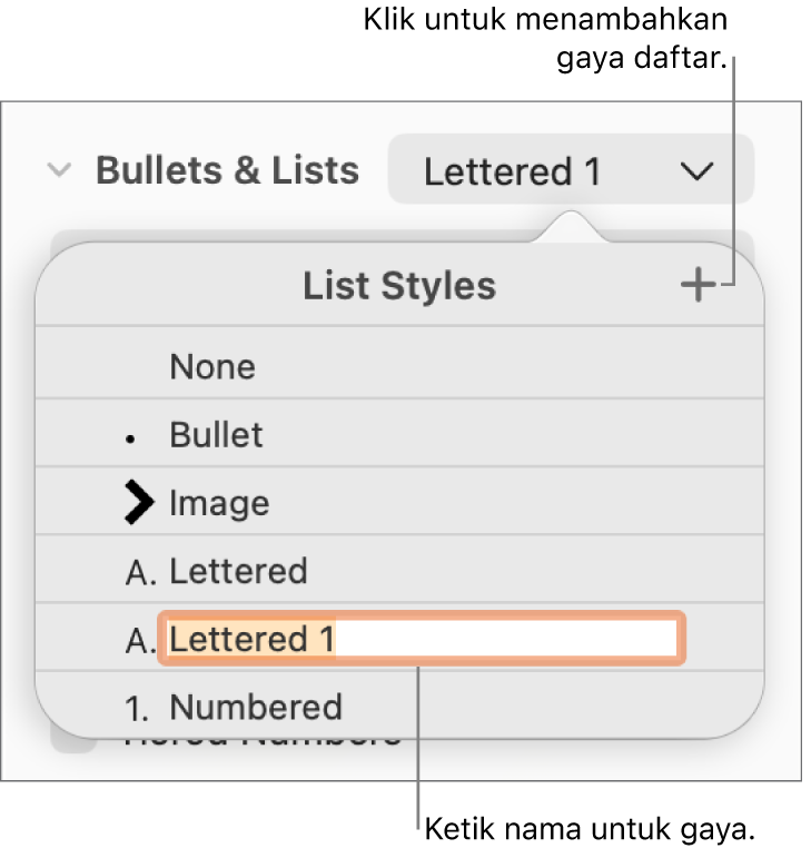 Menu pop-up Gaya Daftar dengan tombol Tambah di pojok kanan atas dan nama gaya placeholder dengan teksnya dipilih.