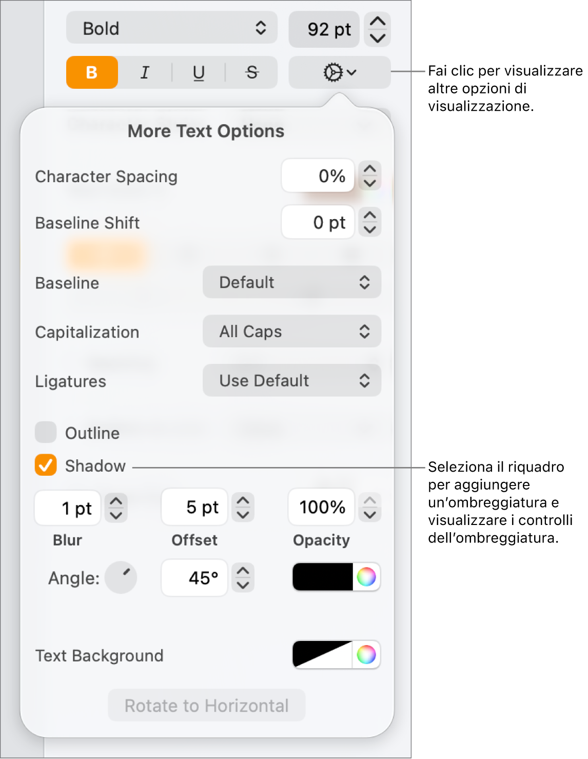 Il menu Opzioni avanzate aperto con il riquadro Ombre selezionato e i controlli per impostare la sfocatura, l’offset, l’opacità, l’angolazione e il colore.
