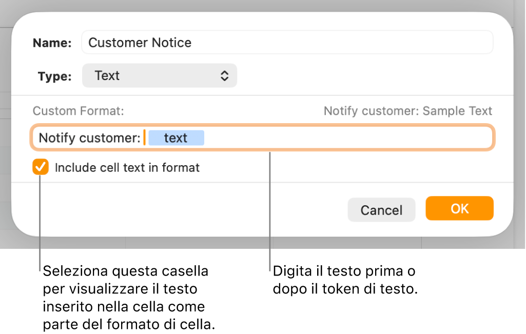 Finestra per la formattazione delle celle con controlli per scegliere un formato di testo personalizzato.