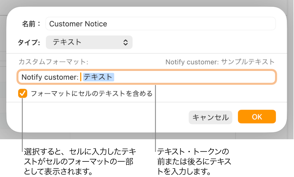 セルのカスタムフォーマットのウインドウ。テキストのカスタムフォーマットを選択するためのコントロールが表示された状態。