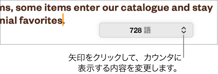 単語数のメニュー。書類の単語数が表示された状態。