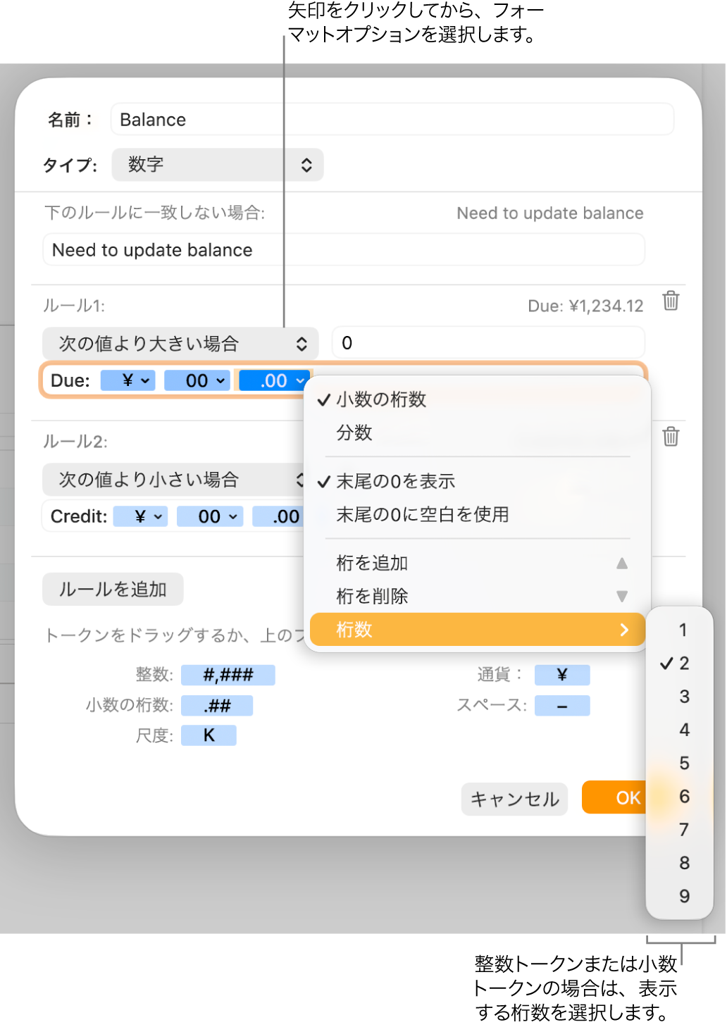 カスタムのセルフォーマットのウインドウ。カスタムフォーマットのオプションを選択するためのコントロールが表示された状態。
